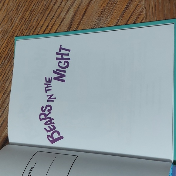 The Berenstain Bears Bears In The Night - Picture 6 of 14